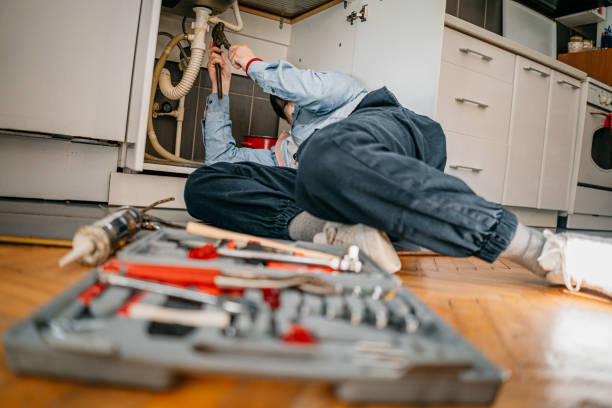 Best Toilet Repair Services  in Leonard, TX